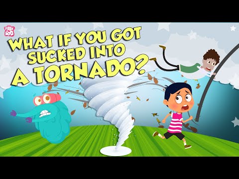 What If You Got Caught In A Tornado? | Natural Disaster | The Dr Binocs Show | Peekaboo Kidz
