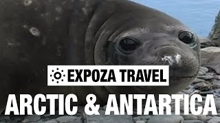 Arctic & Antartica Vacation Travel Video Guide