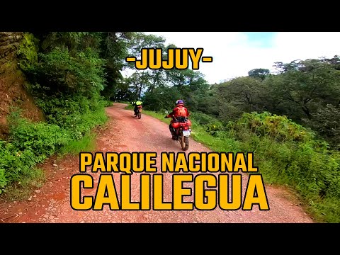 PARQUE NACIONAL CALILEGUA, Jujuy