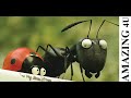 Red Ants Vs Black Ants Don T Miss It