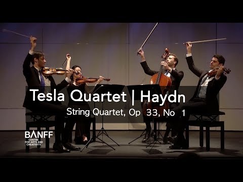 Tesla Quartet | Joseph Haydn, String Quartet, Op  33, No  1