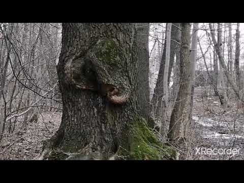 Медом не кормите, дайте залезть в заброшку. Архив. Весна 2020 года.