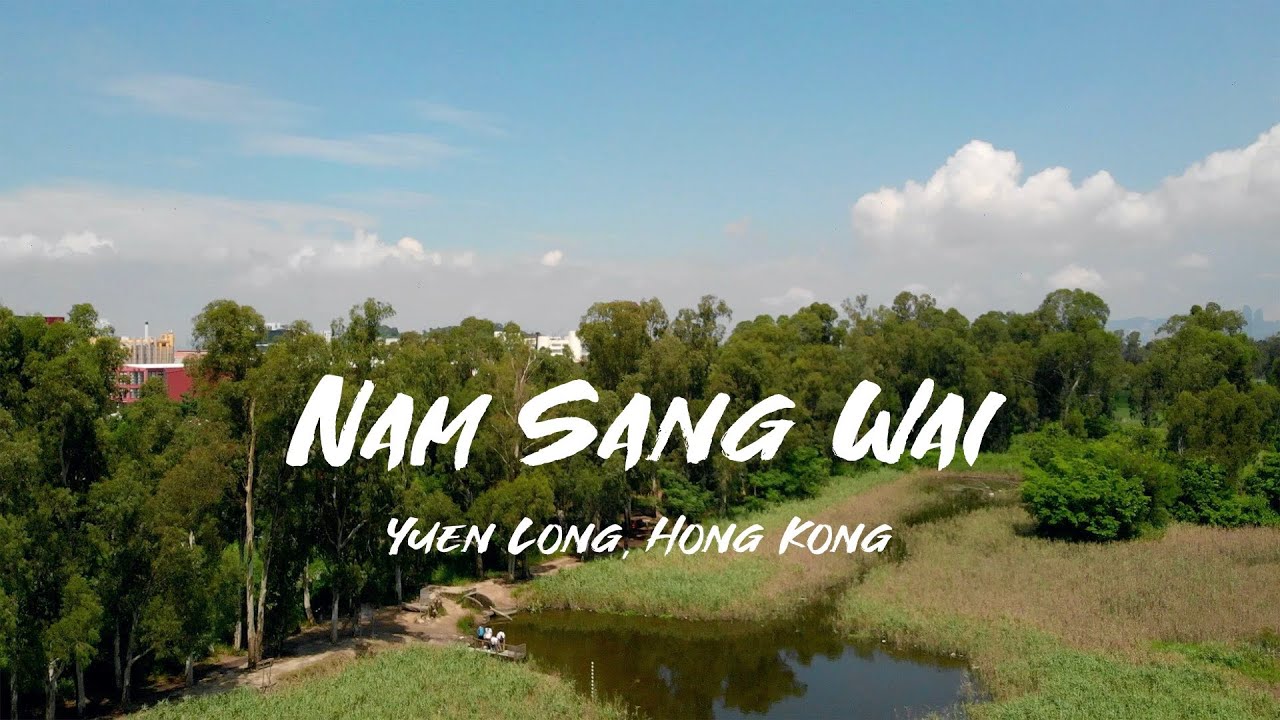 Exploring Hong Kong’s hidden nature gem: Nam Sang Wai Wetlands full tour