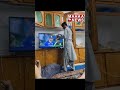 People Afghanistan Celebrating Victory India Kohli Pandya INDvsPAK