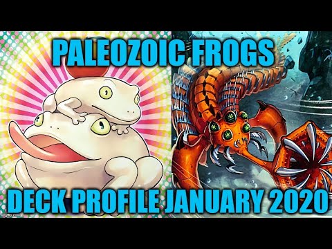 PALEOZOIC FROGS DECK PROFILE (JANUARY 2020) YUGIOH!