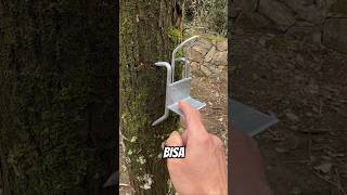 Download lagu tree climbing aid #youtubeshorts #ismailmovic mp3 Download lagu tree climbing aid #youtubeshorts #ismailmovic mp3