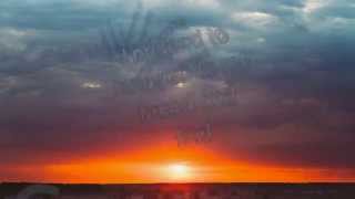 Tony Russo - Gentle On My Mind (Lyric Video)