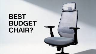 ProtoArc EC200 Office Chair Review | Best Budget Ergonomic Chair?