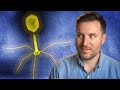 Can Phages Save Us From Superbugs