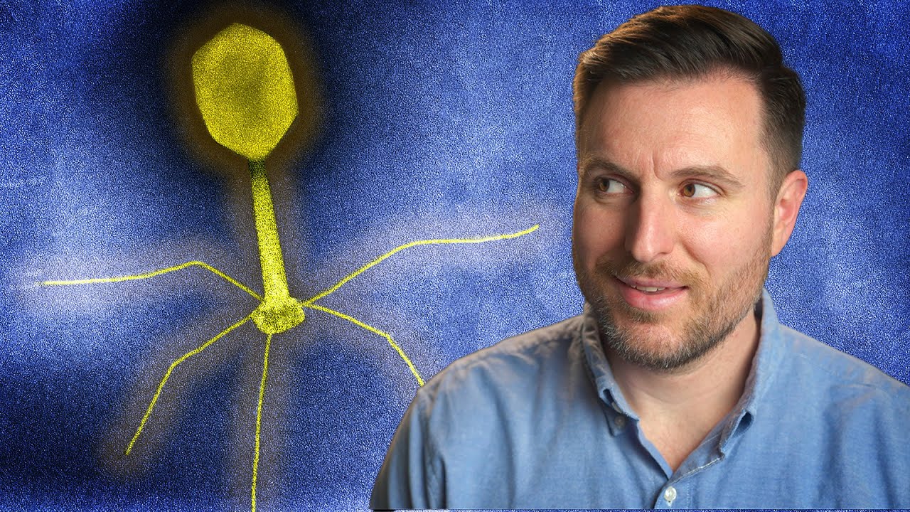 The History of Phage Therapy