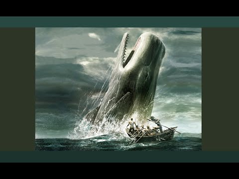 Moby Dick Chapters 81 - 82
