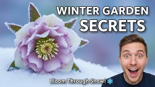 5 Plants That Actually LOVE Winter (Cold-Hardy Beauties)