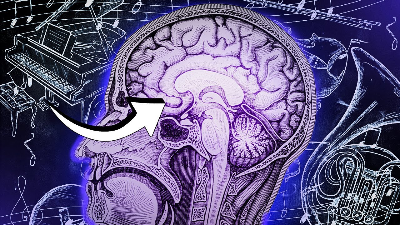 COMO A MÚSICA PODE PROTEGER O CÉREBRO?