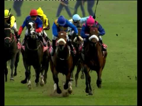Legislate - 2014 Vodacom Durban July Gr1 - INTERVIEW