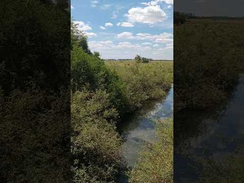 #ArroyoDelTala camino Paso la Cadena entre La Bolsa y Campo de Todos , dpto. de Salto 🇺🇾 . Videitos