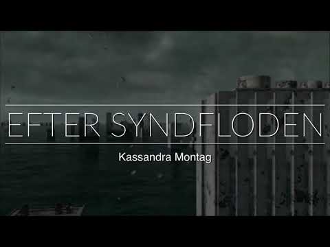 EFTER SYNDFLODEN. En roman om den mørkeste modløshed og det største håb.