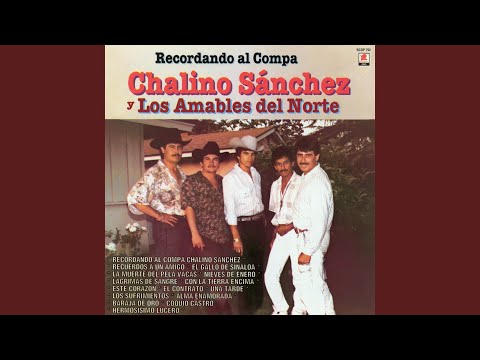 Recuerdos A Un Amigo