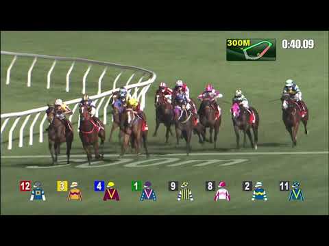 10/2/2021 (419) Kurpany -  J Moreira