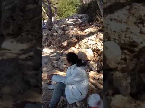 Beach cala d or spain 14/5/2019