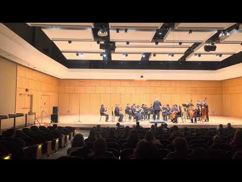 Don Quixote Suite by Georg Philipp Telemann - Performed by Millersville University Chamber Orchestra