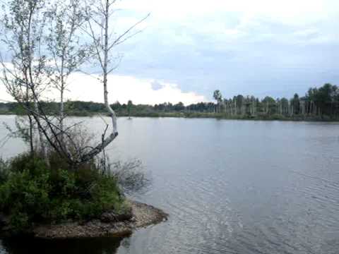 harakiri surfing Vlkov