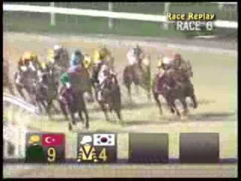 金碧滙彩盃 (二級賽) (騎師挑戰賽 [第三回合] )-- 華蘭素拉 (新加坡)「贏得就贏」 (15/11/2013)