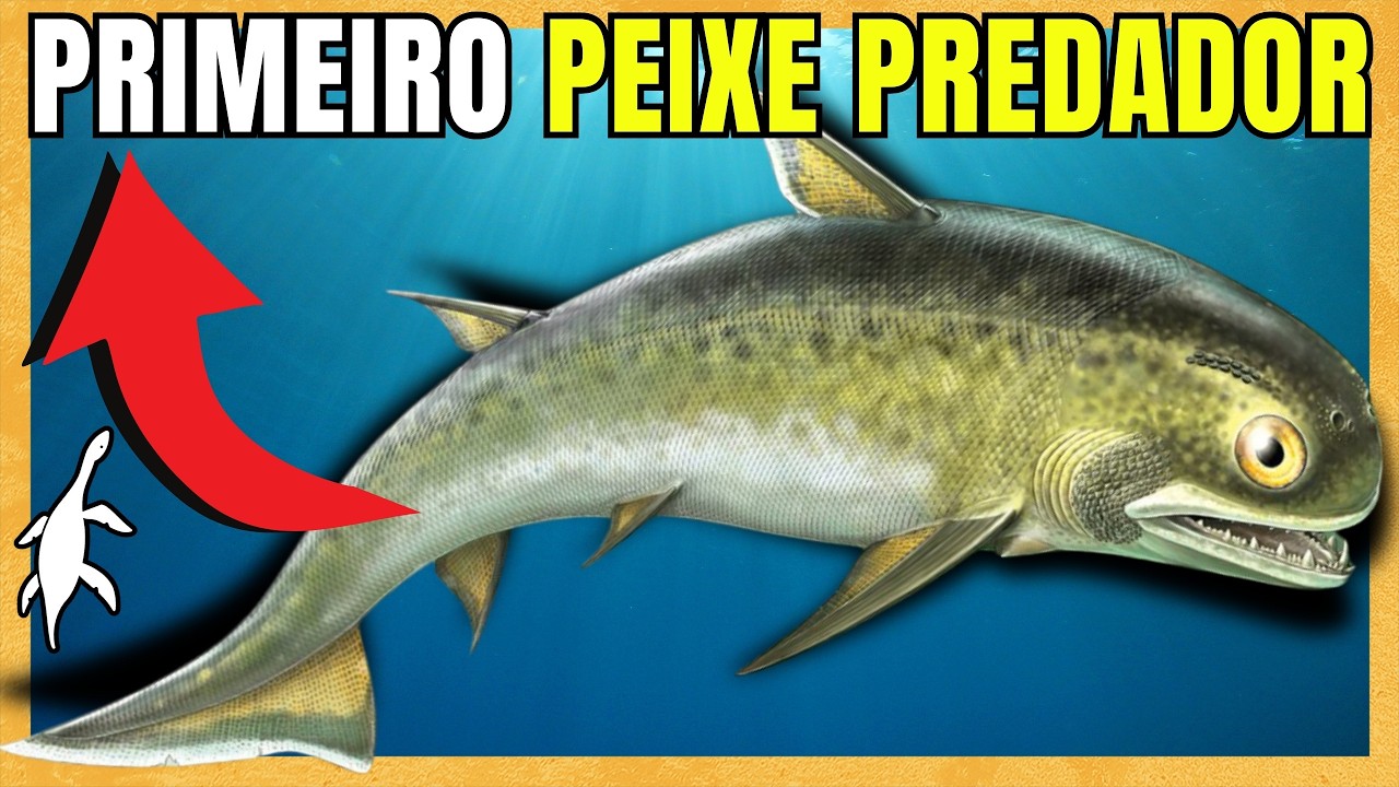 THE ORDOVICIAN MARINE REVOLUTION