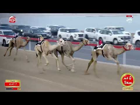 ش 3 بندقية زمول مفتوح (الهداف) أحمد مطر ماجد الخييلي 12:28:71  ، ختامي الوثبة 2026/05/20