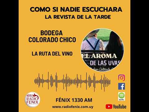 BODEGA COLORADO CHICO-LA RUTA DEL VINO