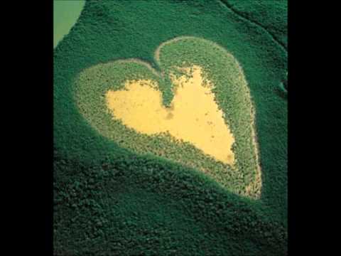 Le signal de détresse - Raymond Durand