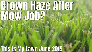 DIY How to fix brown grass.  My grass looks brown after I mow.  Brown haze after I mow