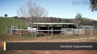 Mount Flint Station, Book Book - SOLD