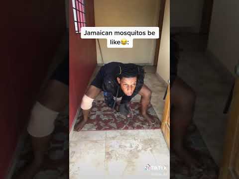 @arjay-lol funny videos episode 5