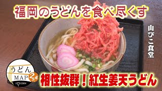 [Udon MAP] Pickled Ginger Tempura Udon & Yamakake Udon (Aired September 3, 2025)