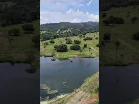 Fazenda em Israelândia, Goiás.