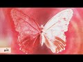 Manuel Need U Puha Official Lyrics Video