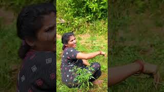 Download lagu Banjara Comedy Video 🤣 Pattu Saado part-5 😂 Fish Vinod Kumar And Kamli Banjara Comedy mp3