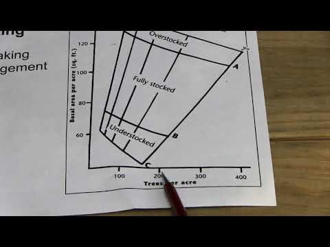 using a stocking guide