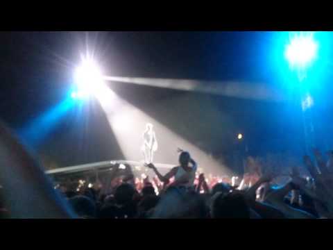 Die Toten Hosen Leipzig 22.08.2015 - Stagediving