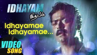 Idhayamae Full Video Song | Idhayam Tamil Movie Songs | Murali | Heera | Ilayaraja | Music Master