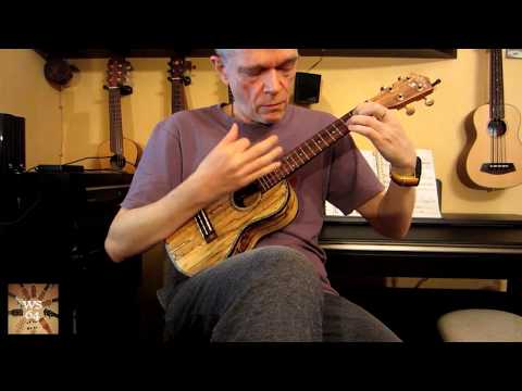 Ukulele solo: Shine On You Crazy Diamond