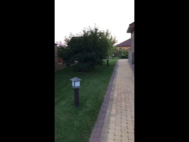 Озеленение спустя 4 года!!!