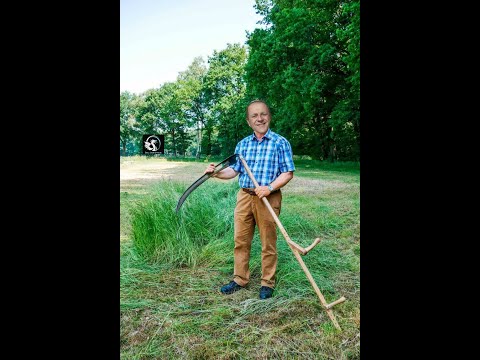 RAMIZ ZMAJ - Mahmut napušta BiH