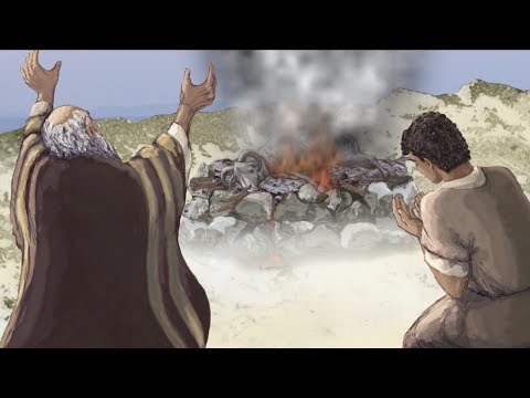 MBRET i LAVDISË | Pjesa 1 | KING of GLORY | Albanian