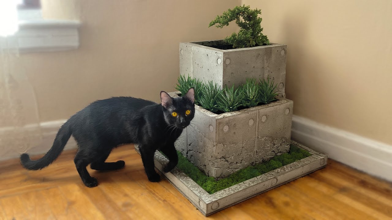 Concrete Bonsai Planter Box. DIY