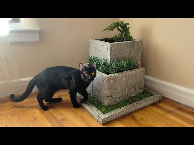 Concrete Bonsai Planter Box | DIY