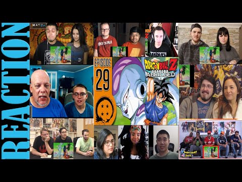 DragonBall Z Abridged: Episode 29 - TeamFourStar (TFS) REACTIONS MASHUP