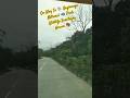 KAZIRANGA Tour Tourism Travel Jungle Wildlife Travelling Explore India Viral Shorts