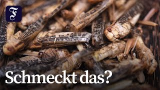 In Marburg kann man seit neuestem Insekten-Gerichte essen