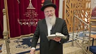 מה משמעות השיטפון בנמל חודיידה תימן? | הרב שמואל אליהו | הלכה יומית | ד' אב תשפ"ד (הרב שמואל אליהו) - התמונה מוצגת ישירות מתוך אתר האינטרנט יוטיוב. זכויות היוצרים בתמונה שייכות ליוצרה. קישור קרדיט למקור התוכן נמצא בתוך דף הסרטון